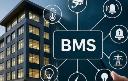 BMS maintenance